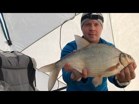 Видео: ЛЕЩИ РВУТ ЛЕСКУ!!!  - ПОЛЫ ИЗ ЭВА - НОЧЕВКА НА ЛЬДУ В ПАЛАТКЕ УРАЛЗОНТ С ПЕЧКОЙ ТУРИСТ