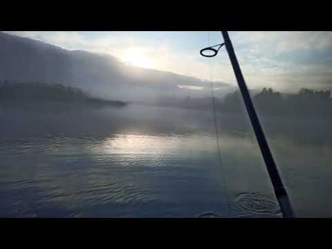 Видео: Принципы локальной ловли щуки