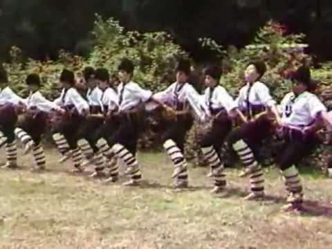 Видео: Добруджанчета