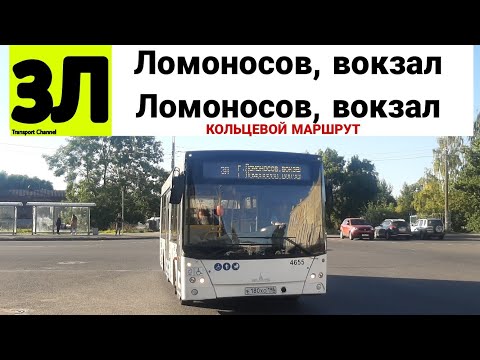 Видео: Автобус 3Л "Ломоносов, вокзал - Ломоносов, вокзал" (кольцевой) МАЗ-206.085 б/н 4655
