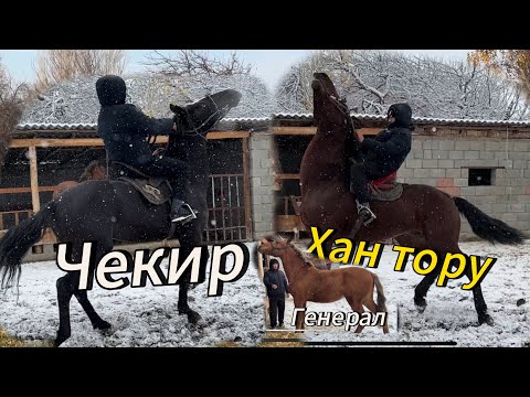 Видео: Иляз акеден Генерел  Хан Тору Чекир  чыкты