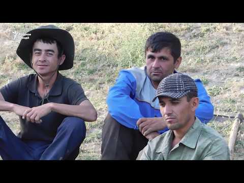 Видео: Навбати об -- дар кӯҳистон!