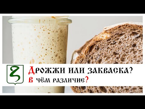 Видео: ДРОЖЖИ ИЛИ ЗАКВАСКА?/ В ЧЕМ РАЗЛИЧИЕ?