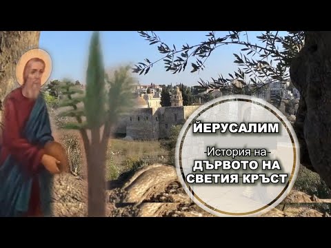 Видео: История на ДЪРВОТО НА СВЕТИЯ КРЪСТ Манастирът посветен на Кръста Господен в Йерусалим