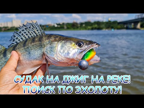 Видео: СУДАК на джиг на реке! Поиск по эхолоту!