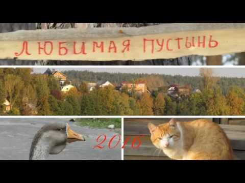 Видео: С ЛЮБОВЬЮ К ПУСТЫНИ