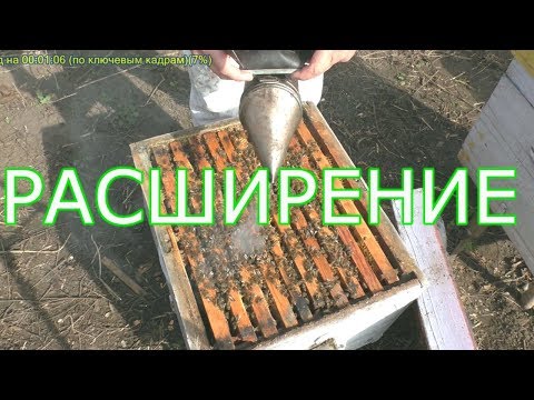 Видео: Первое расширение гнезда. Пчелы начинающим.