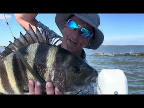 Видео: Рыба была повсюду на рифе Байю Кэдди!!