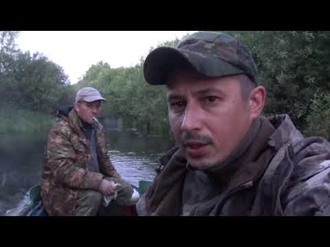 Видео: Озеро Полисто! Рыбалка в Псковской области!