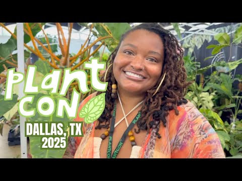 Видео: PlantCon Dallas 2025: редкие и необычные растения