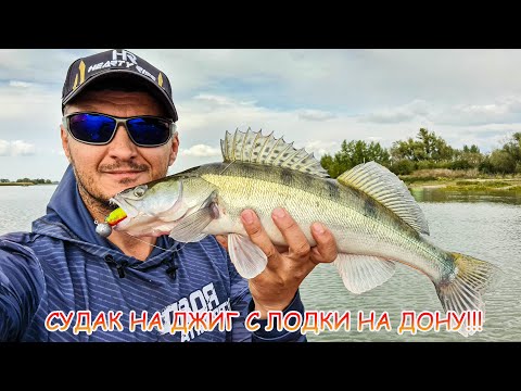 Видео: СУДАК на джиг с лодки на Дону.