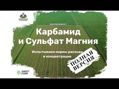 Видео: Эксперимент по подкормкам карбамидом и сульфатом магния по листу