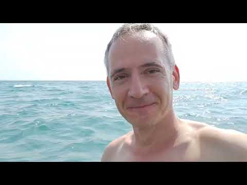 Видео: Абхазия Автокемпинг у моря, кафе Муза меню цены 29 июля 2025 г.