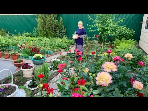 Видео: Опять новый дизайн- шишки, корзина , камень👍👏