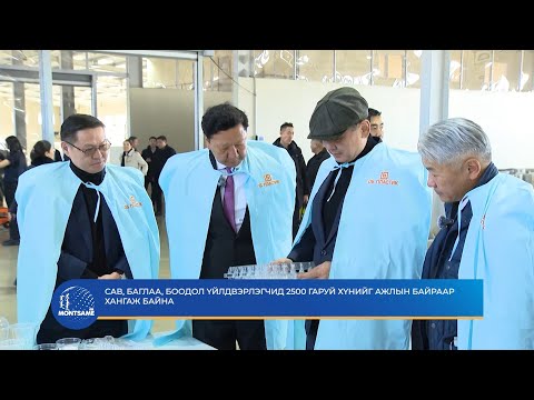 Видео: Сав, баглаа, боодол үйлдвэрлэгчид 2500 гаруй хүнийг ажлын байраар хангаж байна