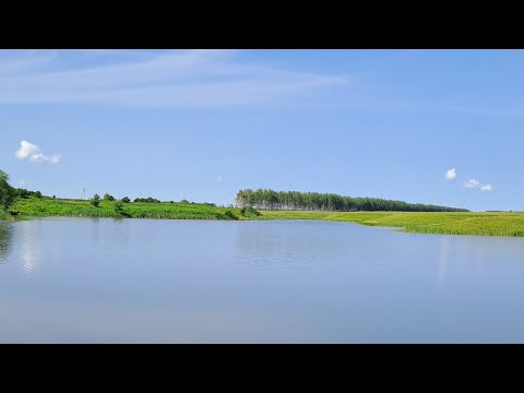 Видео: Утренняя рыбалка на карася в траве