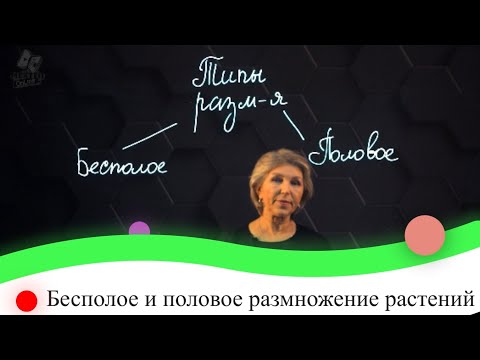 Видео: Бесполое и половое размножение растений. 7 класс.