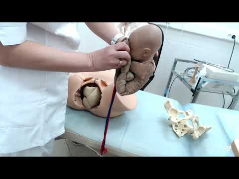 Видео: Ручное пособие по Цовьянову