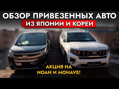 Видео: ПРИВЕЗЛИ НОВЫЙ YARIS, FREED❗️ TOYOTA NOAH, KIA MOHAVE В НАЛИЧИИ❗️ СНИЖЕНИЕ ЦЕН❗️ ОБЗОР СТОЯНКИ