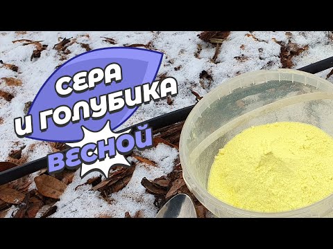 Видео: Подкисление почвы для голубики серой
