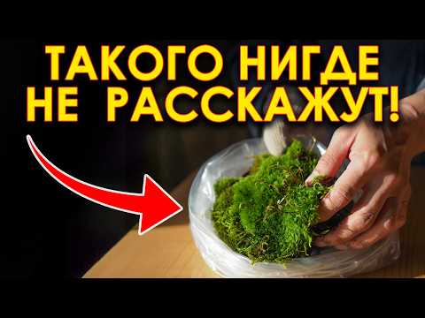 Видео: 15+ гениальных хитростей для домашних растений!