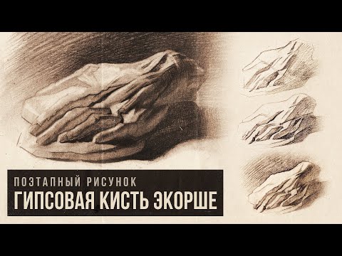 Видео: РИСУНОК «ГИПСОВАЯ КИСТЬ ЭКОРШЕ» Видео-урок от Дениса Чернова | Онлайн-школа Akademika