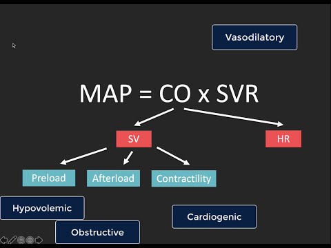 Видео: POCUS-оценка сердечного выброса
