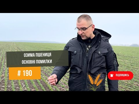 Видео: # 190 Прибуткова пшениця в посушливих умовах з Віктором Філатовим, Харківська область.