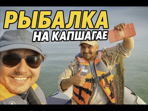 Видео: Рыбалка на Капчагае: Улов и Отдых у Воды