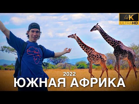 Видео: ЛУЧШИЙ фильм про ЮАР 2022 | ДАЙВИНГ с Акулами, БЕГЕМОТЫ в Городе !!!