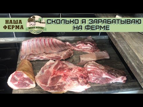 Видео: Сколько я зарабатываю на ферме