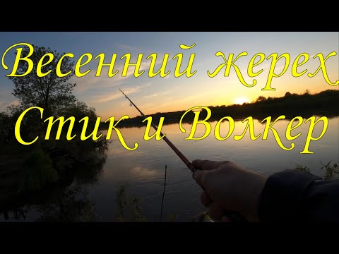 Видео: Весенний жерех \ Стик и Волкер \ #рыбалка #жерех #стик #волкер