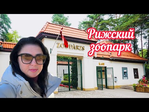 Видео: Отвезли в психушку // не хотела туда ехать // они заставили // Рига // Латвия