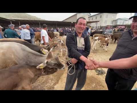 Видео: АЛА-БУКА РАЙОНУ СААН УЙ БААЛАРЫ