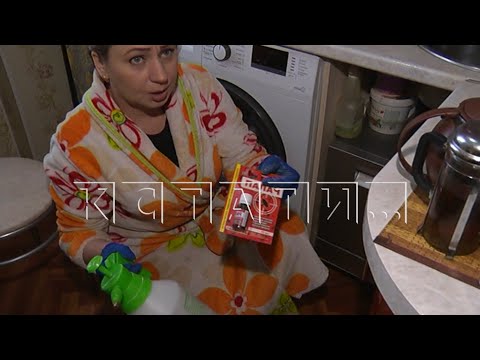 Видео: Пьющие соседи превратили многоквартирный дом в питомник тараканов