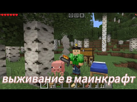 Видео: асмр выживаю в майнкрафт