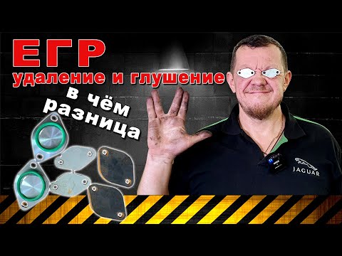 Видео: глушение и удаление ЕГР // что есть что \\