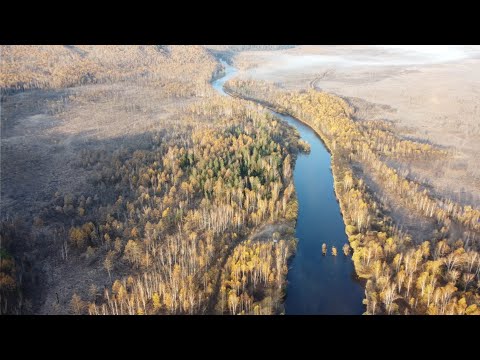 Видео: Осенняя рыбалка. Хариус, ленок.