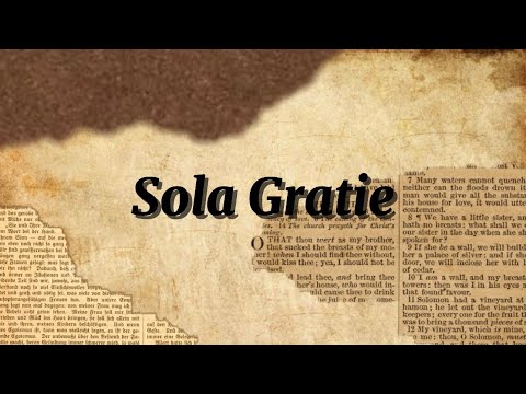 Видео: III) Только Благодатью | Михаил Стаучан