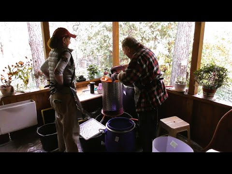 Видео: Отжим винограда на гидравлическом прессе: опыт, плюсы и минусы