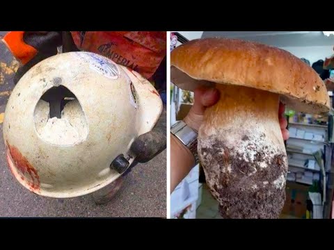 Видео: Когда удача улыбнулась истории невероятного везен