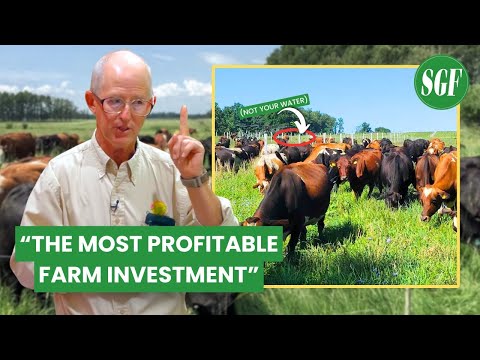 Видео: Эксперт по выпасу скота Грег Джуди: САМЫЕ ВАЖНЫЕ ИНВЕСТИЦИИ В ФЕРМУ