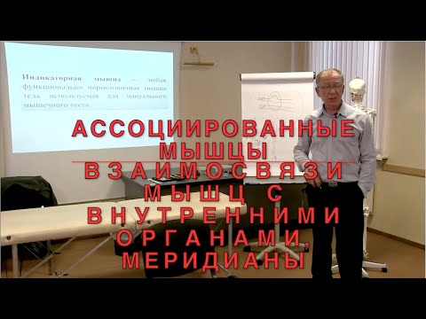 Видео: Ассоциированные мышцы. Взаимосвязи мышц и внутренних органов. Меридианы. ИКПК
