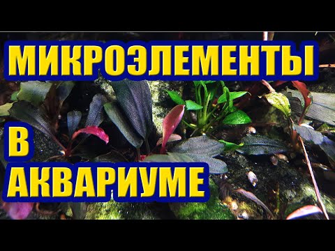 Видео: Микроэлементы в Аквариуме. Как подобрать Дозировку без Тестов. Удобрения для Растений