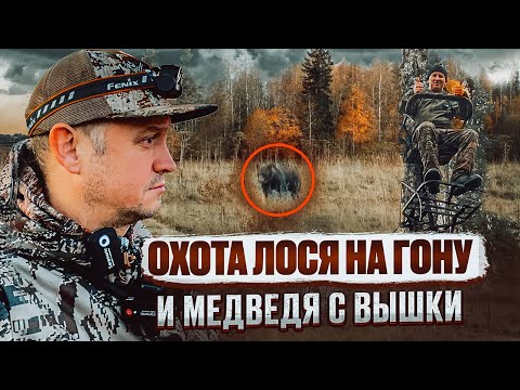 Видео: ОХОТА НА ЛОСЯ С ТРИСТЕНДА // ЗАЛИЛО НА ВЫШКЕ // КРАСНАЯ РЫБА В МАЛЕНЬКОЙ РЕЧУШКЕ