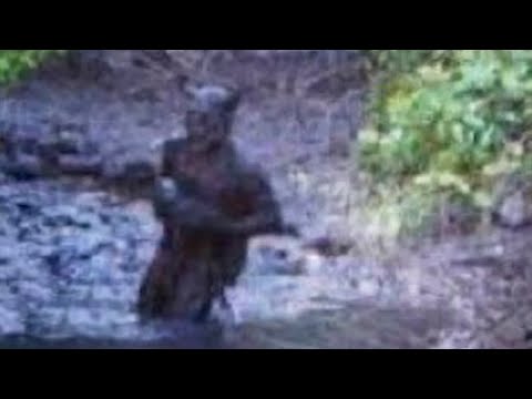 Видео: Эта Находка в Болоте Испугала Всех Ученых! Топ 10