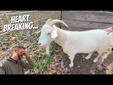 Видео: Тяжело видеть, как он проходит через это...