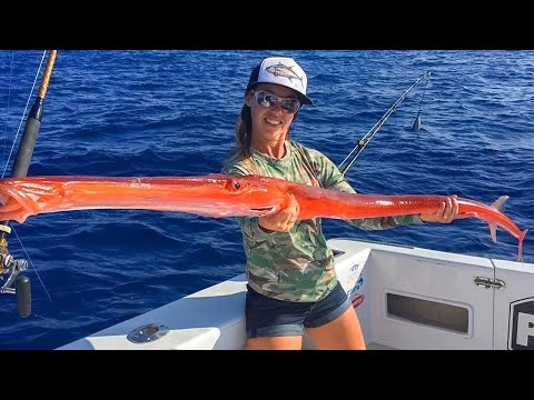 Видео: 35 Невероятных Случаев На Рыбалке, Снятых На Камеру