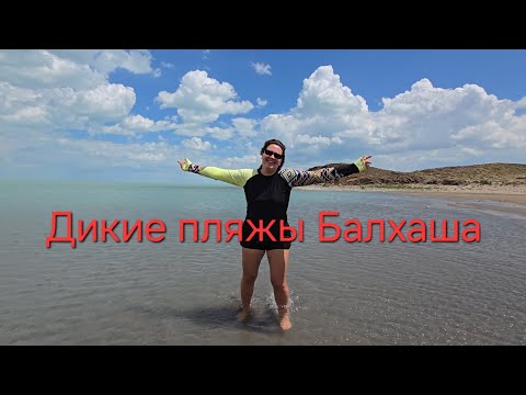 Видео: Дикие пляжи Балхаша 2024. Как доехать. Актуальное состояние дороги от Алматы.