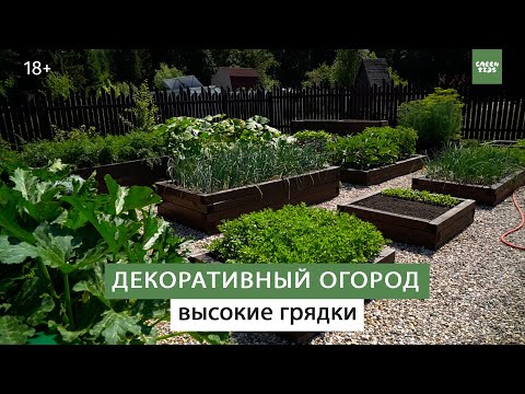 Видео: Очень удобные гряды. Красивый огород.
